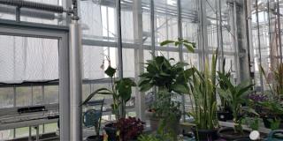 环境污染物实验室温室